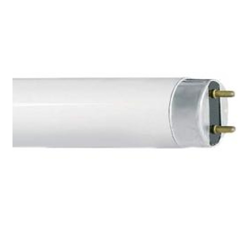 Лампа Camelion T8 10w/4200 — Новобаза в Новомосковске